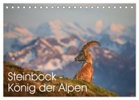Produktbild: Steinbock - K&ouml;nig der Alpen (Tischkalender 2026 DIN A5 quer), CALVENDO Monatskalender