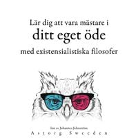 Produktbild: L&auml;r dig att best&auml;mma ditt &ouml;de med de existentialistiska filosoferna ...