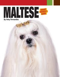 Produktbild: Maltese