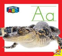 Produktbild: AA