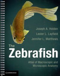 Produktbild: Zebrafish