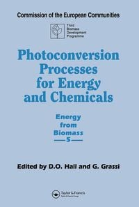 Produktbild: Photoconversion Processes for Energy and Chemicals