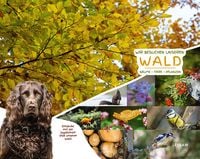 Produktbild: Wir besuchen unseren Wald - Entdecke mit der Jagdh&uuml;ndin VIVA unseren Wald