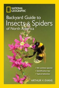 Produktbild: National Geographic Backyard Guide to Insects and Spiders of North America
