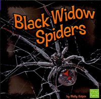 Produktbild: Black Widow Spiders