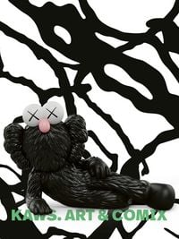 Produktbild: KAWS