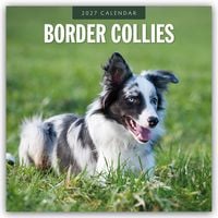 Produktbild: Border Collies &ndash; Border Collie 2027 &ndash; 16-Monatskalender