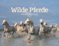 Wilde Pferde Kalender 2023 von Ackermann Kunstverlag