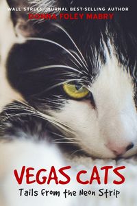 Produktbild: Vegas Cats