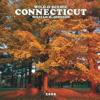 Produktbild: Connecticut , Wild & Scenic 2009 Calendar