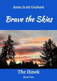 Produktbild: Brave the Skies: The Hawk Book Two