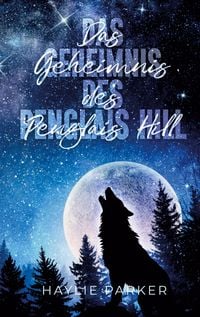Produktbild: Das Geheimnis des Penglais Hill