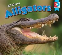 Produktbild: All about Alligators