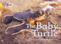 Produktbild: The Baby Turtle