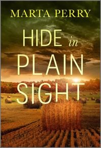 Produktbild: Hide in Plain Sight