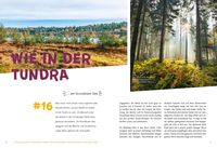 52 kleine & große Eskapaden in der Lüneburger Heide