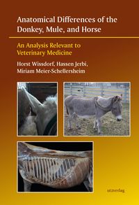 Produktbild: Anatomical Differences of the Donkey, Mule, and Horse