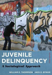 Produktbild: Juvenile Delinquency 10/e
