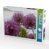 CALVENDO Puzzle Gladiolen 1000 Teile – 48 X 64 Cm Legegröße, Premium-Qualität Aus Europa
