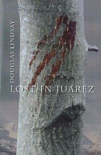 Produktbild: Lindsay, D: Lost in Juarez
