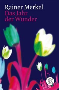 Produktbild: Das Jahr der Wunder