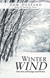 Produktbild: Winter Wind