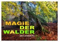 Produktbild: Magie der W&auml;lder Britanniens (Wandkalender 2026 DIN A4 quer), CALVENDO Monatskalender