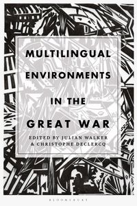 Produktbild: Multilingual Environments in T
