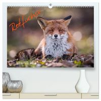 Produktbild: Rotf&uuml;chse (hochwertiger Premium Wandkalender 2027 DIN A2 quer), Kunstdruck in Hochglanz