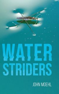Produktbild: Water Striders