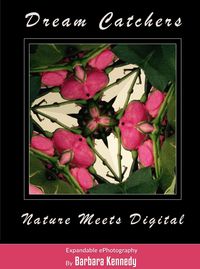 Produktbild: DREAM CATCHERS - Nature Meets Digital