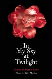 Produktbild: In My Sky at Twilight