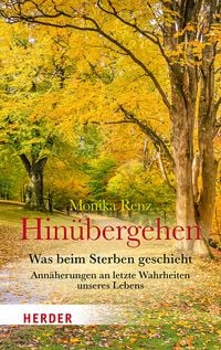 Produktbild: Hin&uuml;bergehen