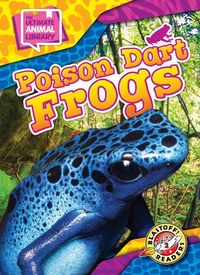 Produktbild: Poison Dart Frogs