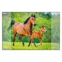 Produktbild: Idena Schreibunterlage Pferd 58,5x38,5cm