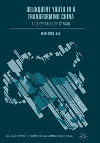 Produktbild: Delinquent Youth in a Transforming China