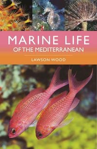Produktbild: Marine Life of the Mediterranean