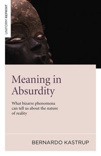 Produktbild: Meaning in Absurdity - What bizarre phenomena can tell us about the nature of reality