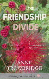 Produktbild: The Friendship Divide