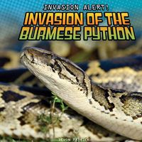 Produktbild: Invasion of the Burmese Python