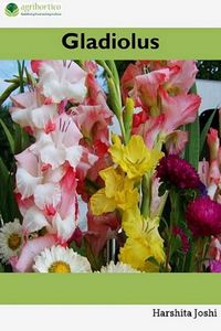Produktbild: Gladiolus