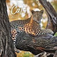 Produktbild: Big Cats 2027