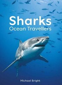 Produktbild: Sharks