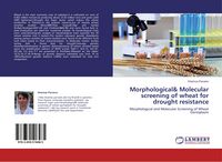 Produktbild: Morphological& Molecular screening of wheat for drought resistance