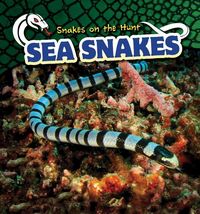 Produktbild: Sea Snakes