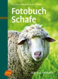 Produktbild: Fotobuch Schafe