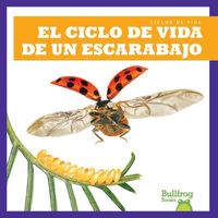 Produktbild: El Ciclo de Vida de Un Escarabajo (a Beetle's Life Cycle)