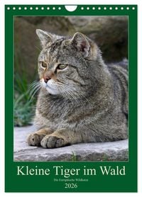 Produktbild: Kleine Tiger im Wald (Wandkalender 2026 DIN A4 hoch), CALVENDO Monatskalender