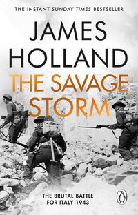 Produktbild: The Savage Storm