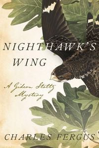 Produktbild: Nighthawk's Wing